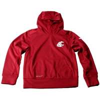 Nike Washington State Cougars Youth KO Chain Pullover Hoodie