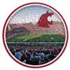 Washington State Cougars 500 Piece Stadium Puzzle