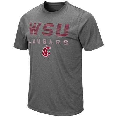 Washington State Cougars Colosseum Flanders Performance T-Shirt