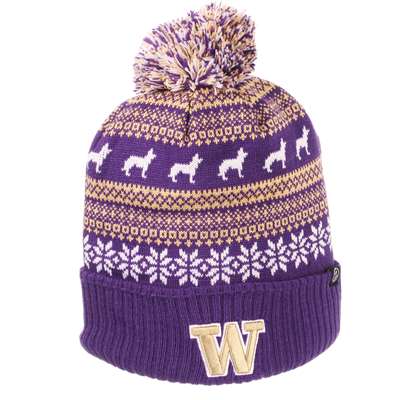 washington huskies beanie