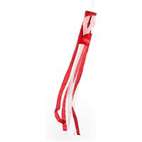 Wisconsin Badgers 60" Windsock