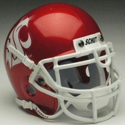 Washington State Mini Helmet By Schutt