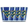 West Virginia Mountaineers Shot Glass - 4 Pack