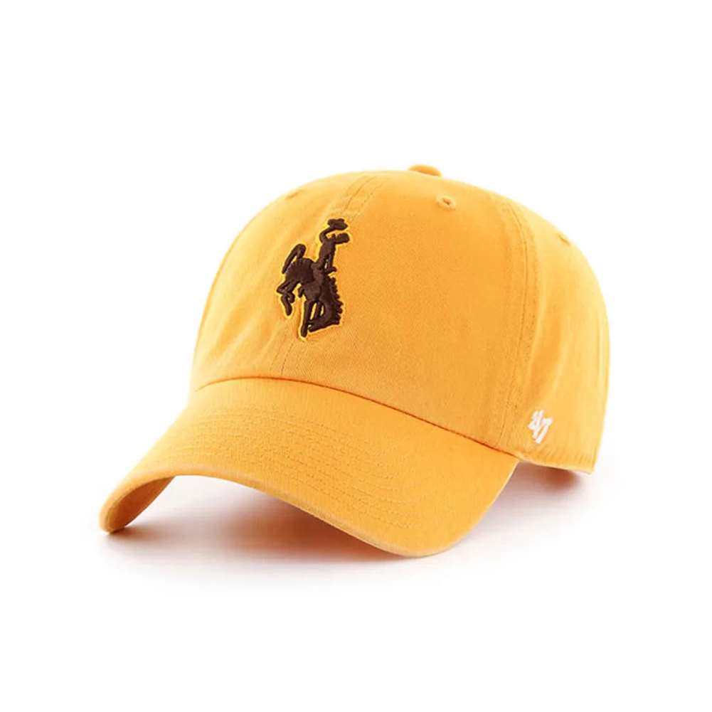 47 Brand Clean Up Established Adjustable Hat